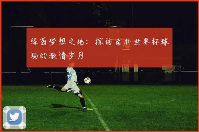 绿茵梦想之地：探访南非世界杯球场的激情岁月