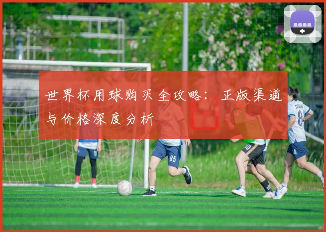 世界杯用球购买全攻略：正版渠道与价格深度分析