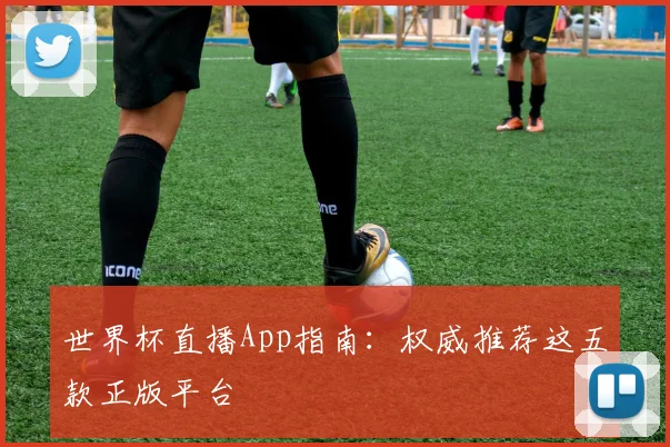 世界杯直播App指南：权威推荐这五款正版平台
