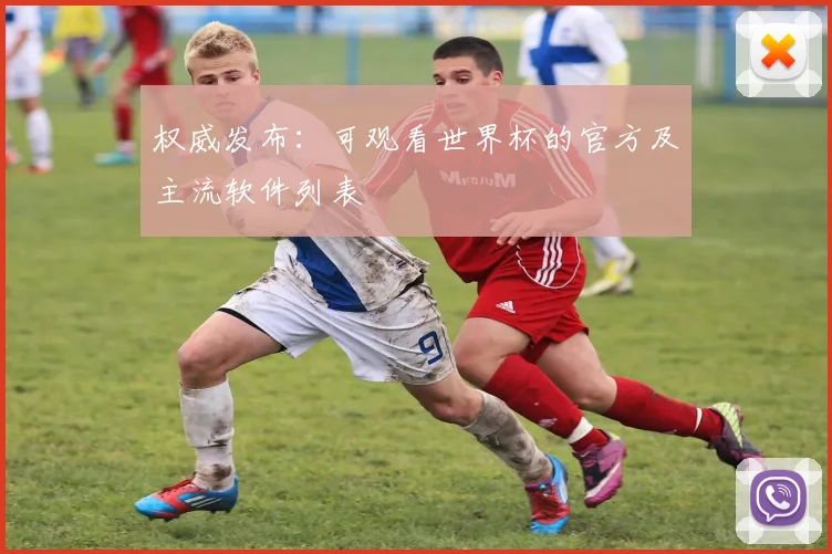 权威发布：可观看世界杯的官方及主流软件列表