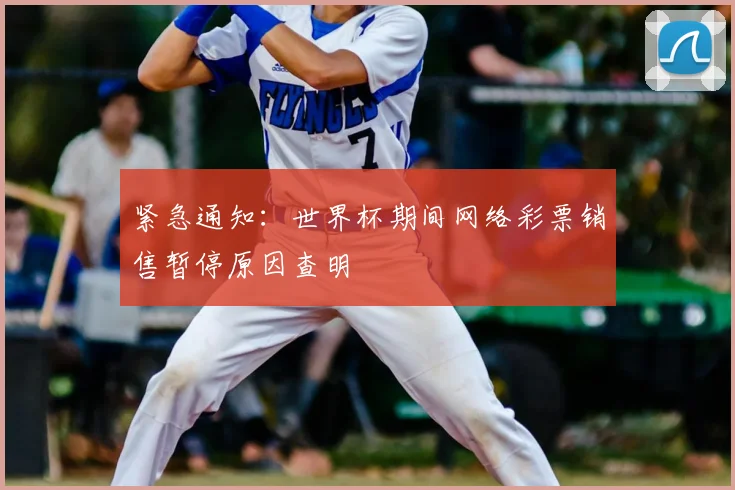 紧急通知：世界杯期间网络彩票销售暂停原因查明