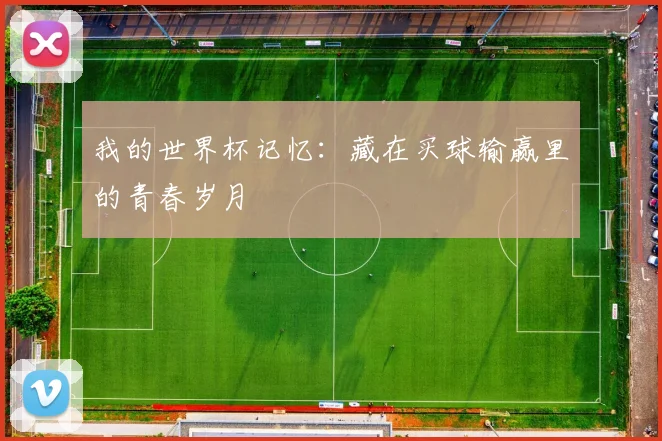 我的世界杯记忆:藏在买球输赢里的青春岁月