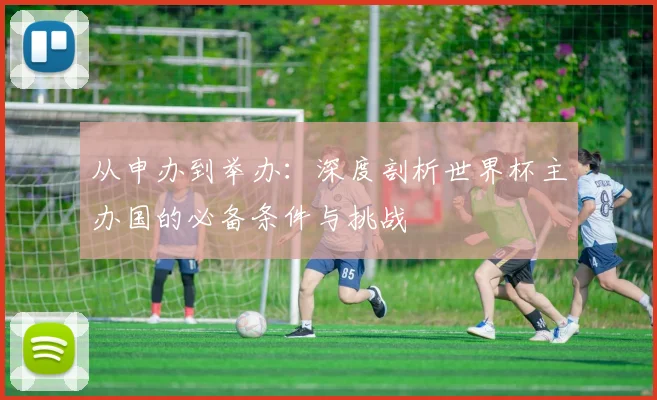 从申办到举办：深度剖析世界杯主办国的必备条件与挑战