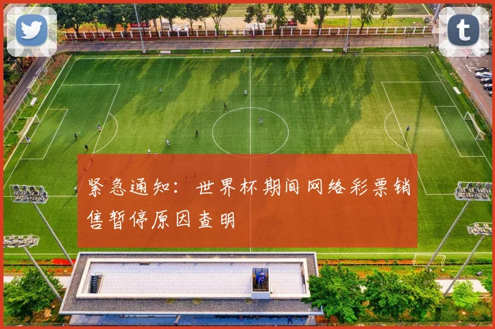紧急通知：世界杯期间网络彩票销售暂停原因查明
