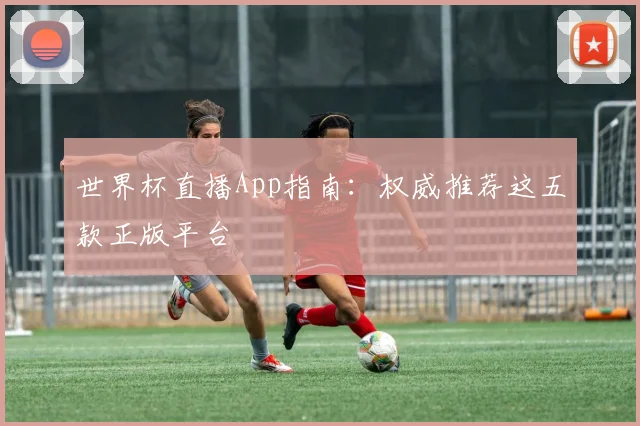 世界杯直播App指南：权威推荐这五款正版平台