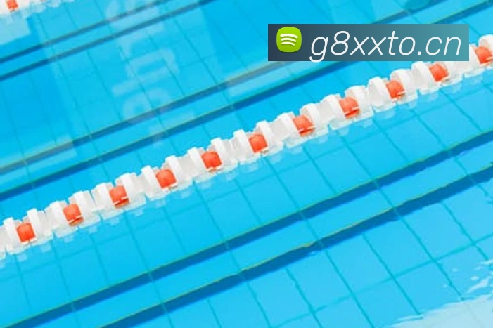 App Interface Preview