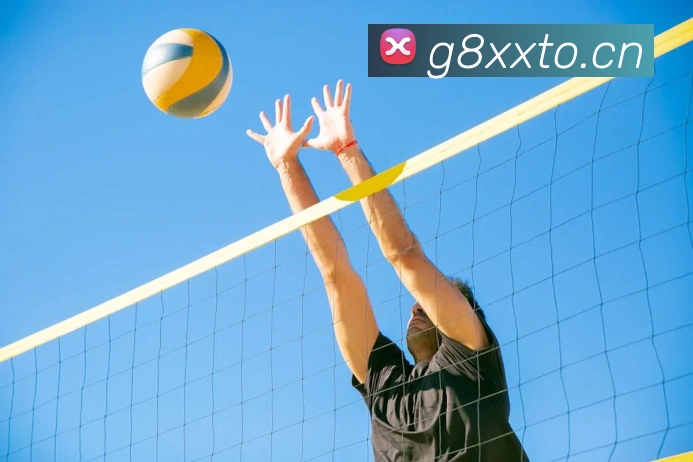 星空app官方登录入口APP 封面图